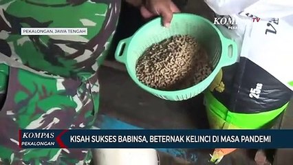 Kisah Sukses Babinsa dengan Beternak Kelinci di Masa Pandemi