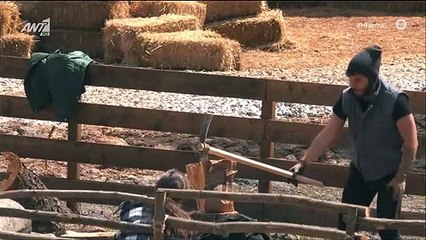 Η Φάρμα: Έπεσε και... τσακίστηκε η Κάτια Δέδε όσο έκοβε ξύλα! Καρέ καρέ το ατύχημα!