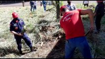 'Amigos dos Rios' promove ação de plantio de mudas nativas, frutíferas e medicinais em Cascavel
