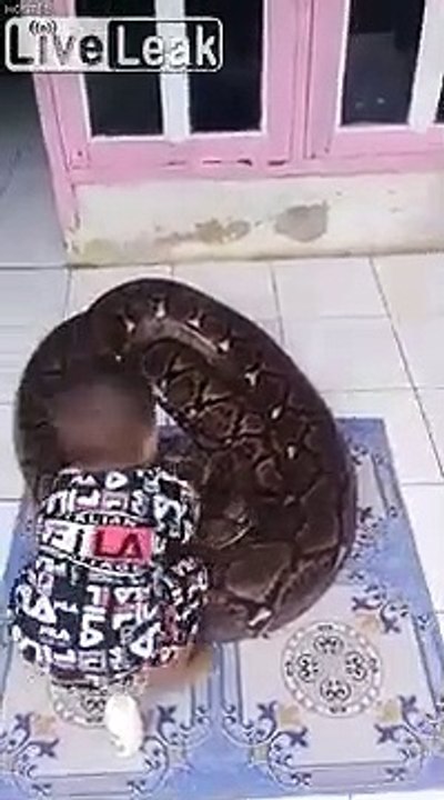 Ce bébé joue avec un Python énorme... Même pas peur