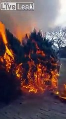 Lui ce n'est pas le roi du barbecue
