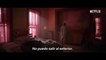 'La mujer en la ventana', tráiler subtitulado en español del thriller con Amy Adams