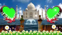 Love green screen video effects background video effects 2021