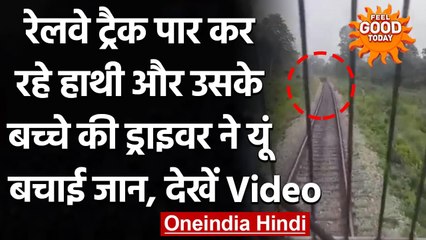 Viral Video: Railway track पार कर रहे हाथियों की loco pilot ने ऐसे बचाई जान । वनइंडिया हिंदी