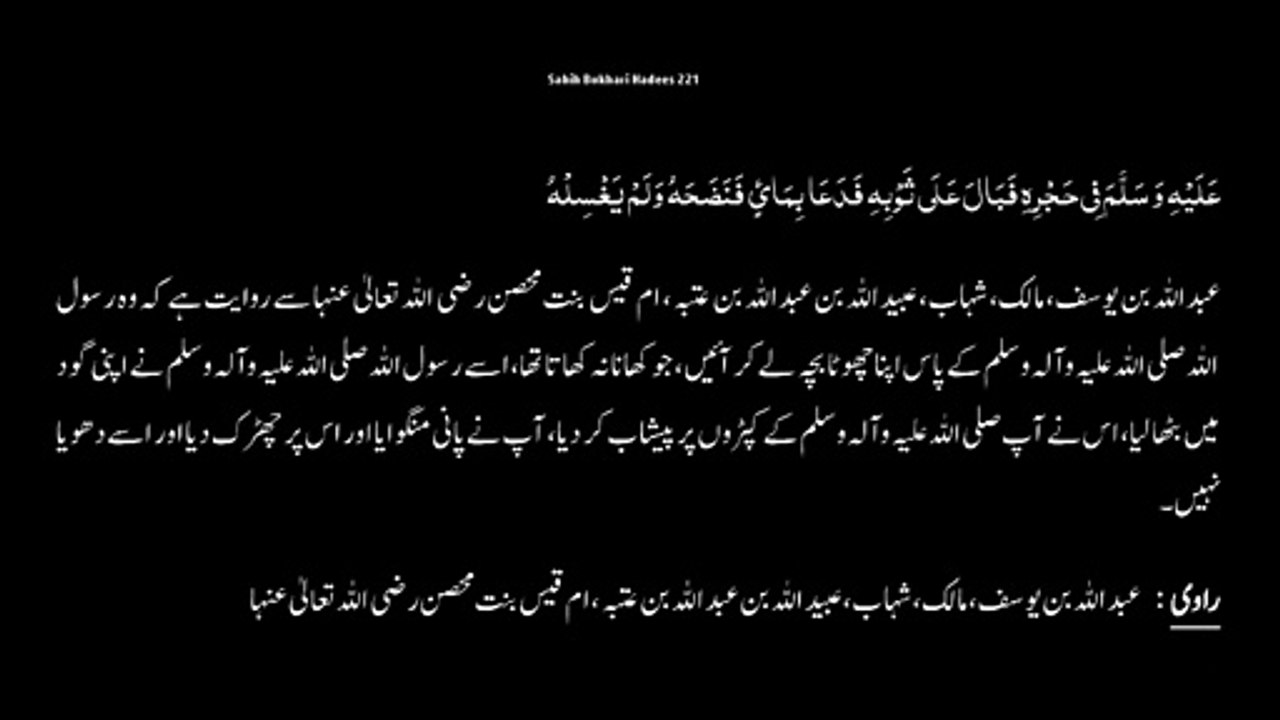 Watch *Hadith 221 Sahih Bukhari*
