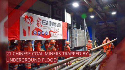 24/7 video newswire featuring breaking news, research, and entertainment.