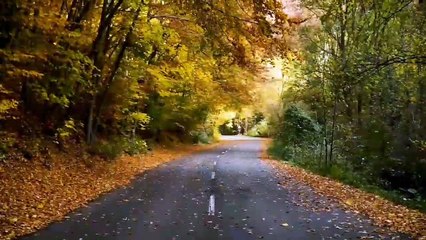 5 Minute Meditation Music । Relaxing Music । Calming Music‌ । Stress Relief Music । Study Music ।meditation music relax mind body‌ । meditation music relax mind body 5 minute.