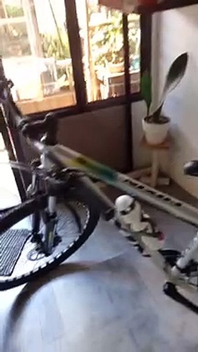 Bike Check