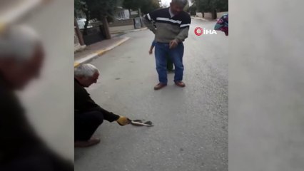 Sokakta gördükleri zehirli Engerek yılanını elleri ile yakalayıp bidona koydular