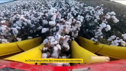 Économie : la Chine boycotte plusieurs multinationales du prêt-à-porter après leur engagement en faveur des Ouïghours