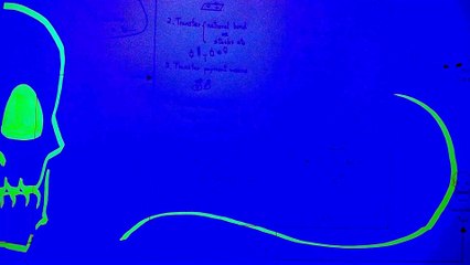 Chapter Z | SKuLL SQuaLL | Invoice System