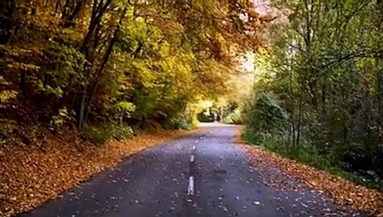 Imaginative music by bm pro  Mp32021 موسيقى خيالية روووعة Mp3