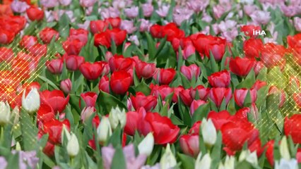 Osmangazili vatandaşlara 371 bin sıcak yemek, erzak paketi ve somun ekmeği