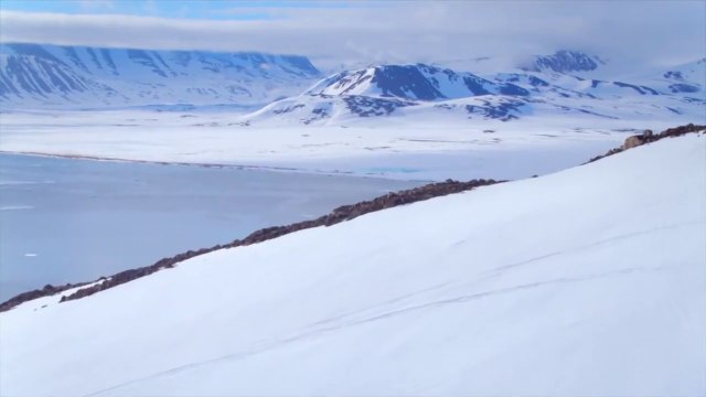 Undiscovered Worlds with Steve Backshall - Arctic - GREENLAND
