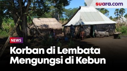 Ratusan Warga Terdampak Banjir-Longsor Kabupaten Lembata Mengungsi di Kebun
