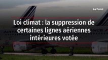 Loi climat : la suppression de certaines lignes aériennes intérieures votée