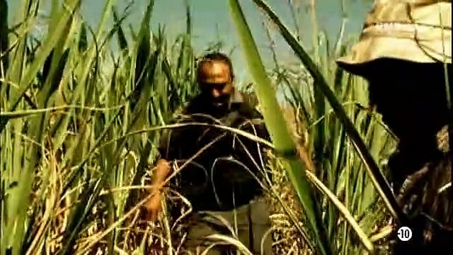 Ces crimes qui ont choque le monde - L'etrangleur de phoenix