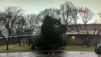 ABD'de okul bahçesinde yıldırım düşen ağaç ikiye ayrıldı