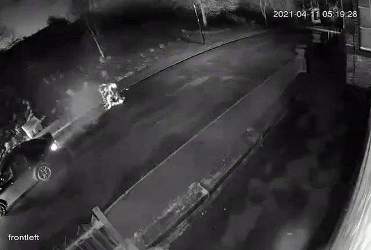 CCTV shows moment suspect tasered and arrested after nine-mile police chase