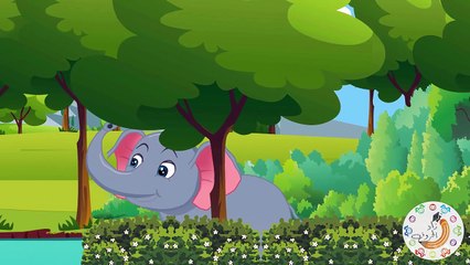 زاد الحكايا - قصص اطفال - الفيل ومزاحه الثقيل