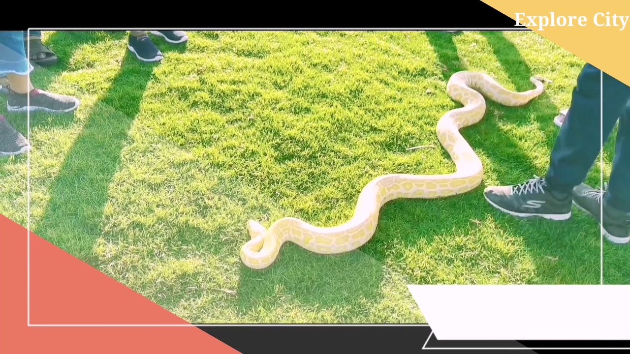 World Best Zoo | Dubai Safari Zoo | Dubai Best Attraction | Dubai Travel Guide