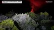 Images of Piton de la Fournaise volcano erupting in France's Reunion Island