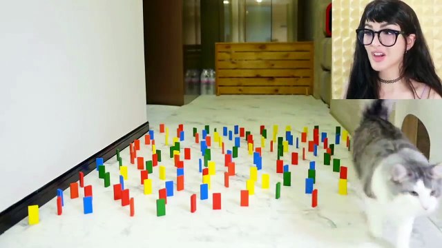 Trying Tik Tok Dog Challenges