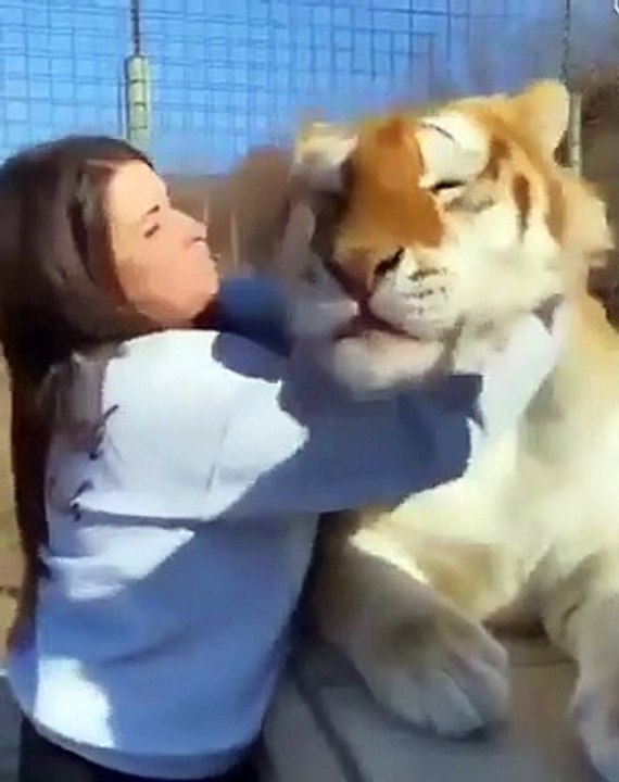 Best videos, Top videos, Viral videos Funny videos no. 82