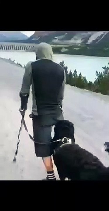 Best videos, Top videos, Viral videos Funny videos no. 86