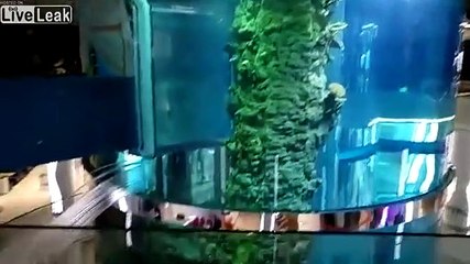 Un aquarium géant de 24m de haut a une énorme fuite dans un supermarché