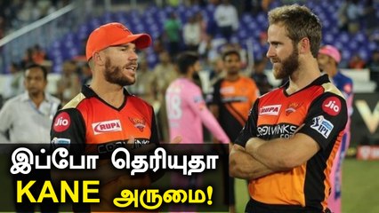 இப்ப புலம்பினா எப்படி? Warnerரை வறுத்தெடுக்கும் Fans!|Oneindia Tamil