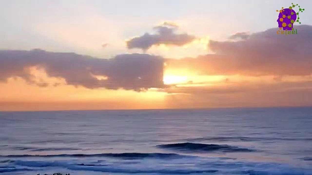 15 Minute Calming Music for Anxiety Relief | Study Music | Soothing Relaxing Music | Peaceful Music