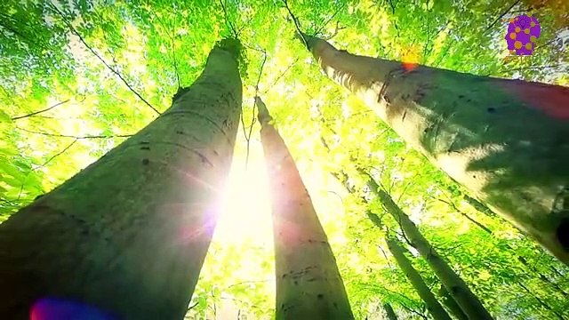 15 Minute Music for Self Love | Healing Music | Music for Stress-Relief | Calming Soothing Music | Slow Music | Instrumental Music