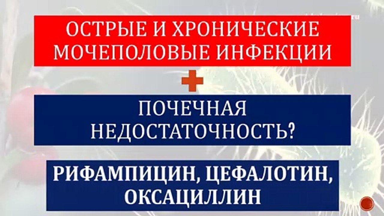 Какие антибиотики назначаются при различных инфекциях?