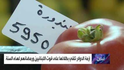 هذه قصة طبق الفتوش درة مائدة الطعام اللبنانية في رمضان