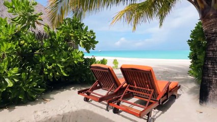 Maldives Travel Guide