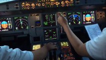 Bamboo Airways Airbus A321 | Cockpit View | Landing At Cat Bi International Airport