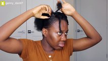 Quick Natural Hairstyle And It'S Cute For Summer On Short 4C Hair - Under 10 Minutes!