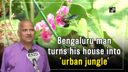 Bengaluru man turns his house into ‘urban jungle’