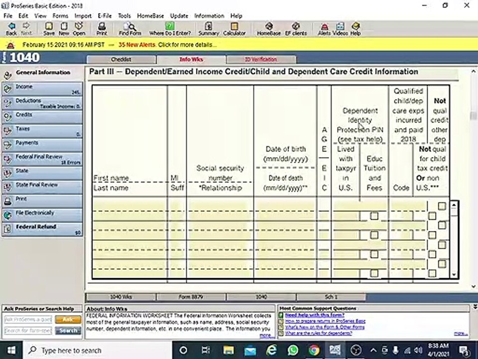 How to fill out basic info 1040 pro series basic