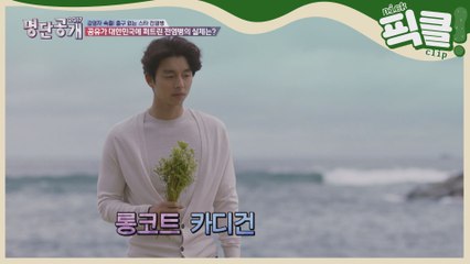 뭘해도 멋짐터지던 '서복' 공유의 도깨비 시절(모든 모습이 눈부셨다)