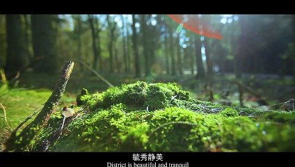 《中国推介》物华天宝：蒸湘雨母有机蔬菜 Natural Treasures - Yumu Organic Vegetables