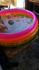 Swimming Time.. si Kuya