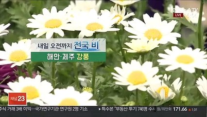 Download Video: [날씨] 내일 오전까지 전국 봄비…제주·남해안 강풍