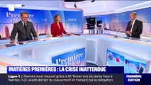 Matières premières : la crise inattendue - 12/04