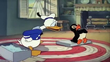 Donald Duck Episode 12 Donald'S Penguin - Disney Cartoon