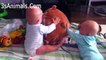 The Funniest And Cutest Video You'Ll See Today! - Twin Babies Adorable Moments