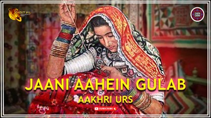 Jaani Aahein Gulaab | Aakhri Urs | Sindhi Song | Sindhi Gaana