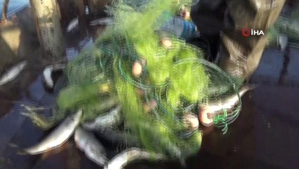 Vali Bilmez, yasak öncesi balıkçılar ile gölden son ağları çekti