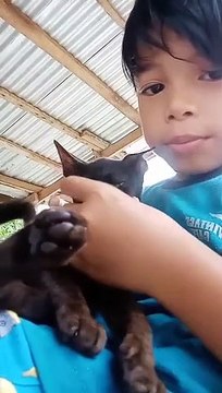 Ang batang mahilig sa pusa